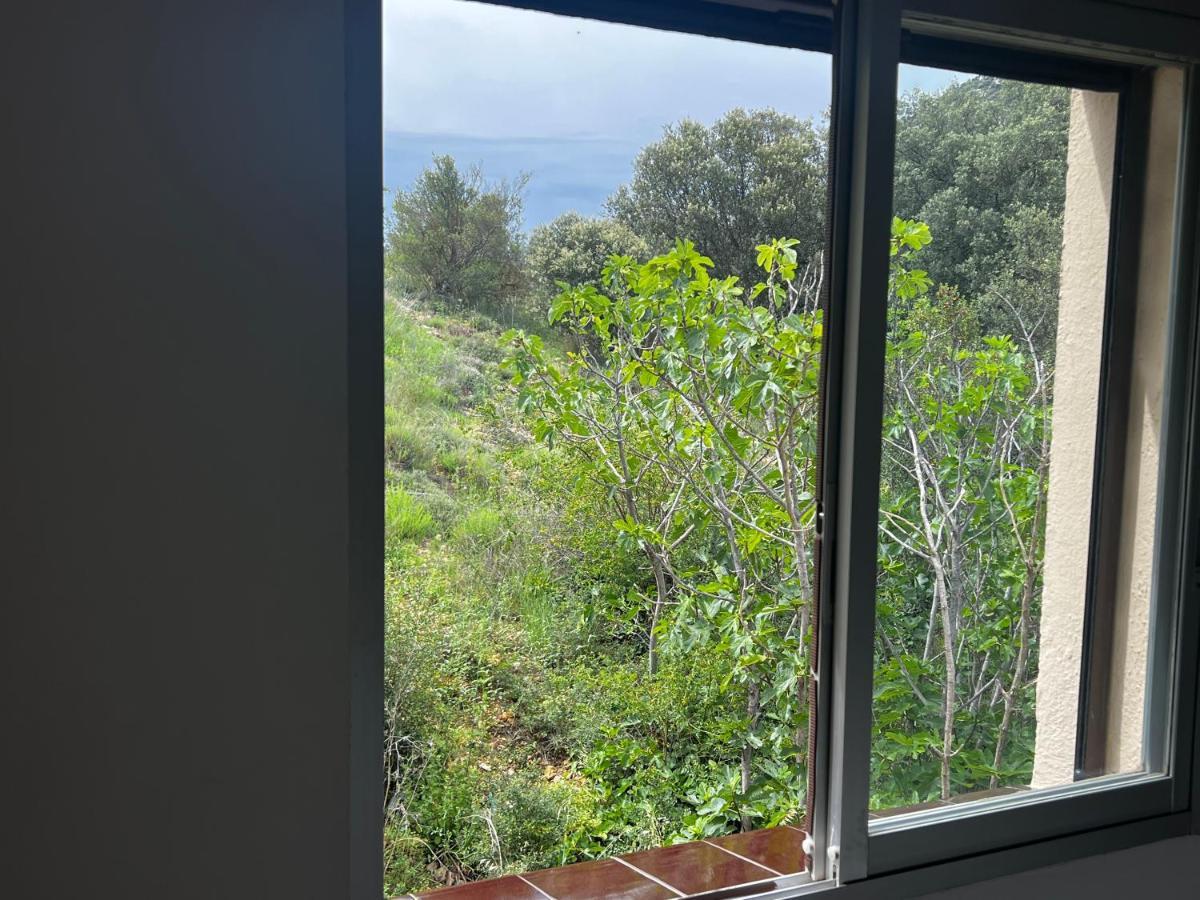 Apartaments La Pertusa 2O Corca  Εξωτερικό φωτογραφία